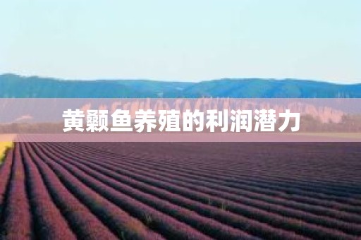 黄颡鱼养殖的利润潜力