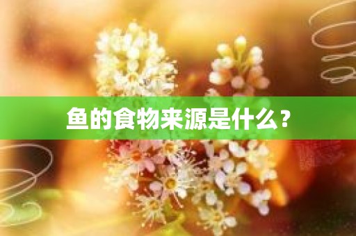 鱼的食物来源是什么？