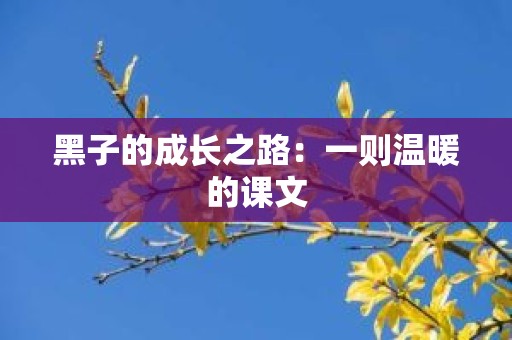 黑子的成长之路：一则温暖的课文