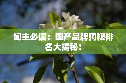 饲主必读：国产品牌狗粮排名大揭秘！