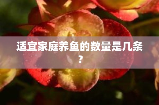 适宜家庭养鱼的数量是几条？