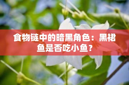 食物链中的暗黑角色：黑裙鱼是否吃小鱼？