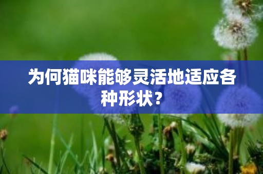 为何猫咪能够灵活地适应各种形状？