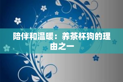 陪伴和温暖：养茶杯狗的理由之一