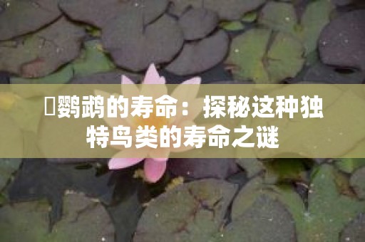 鸮鹦鹉的寿命：探秘这种独特鸟类的寿命之谜