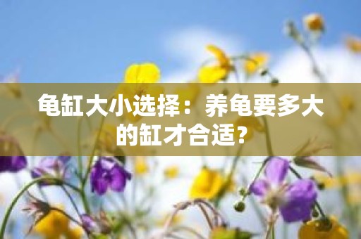 龟缸大小选择：养龟要多大的缸才合适？