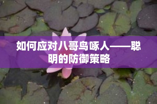 如何应对八哥鸟啄人——聪明的防御策略