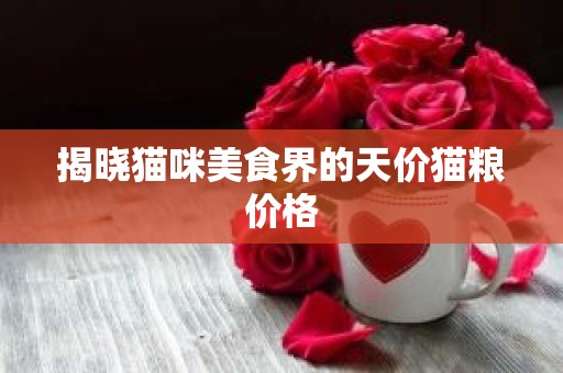 揭晓猫咪美食界的天价猫粮价格