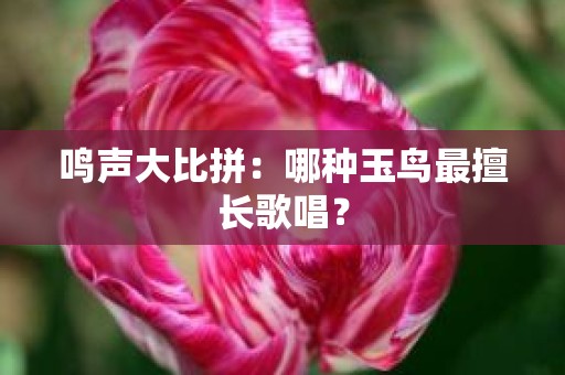 鸣声大比拼：哪种玉鸟最擅长歌唱？