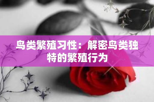 鸟类繁殖习性：解密鸟类独特的繁殖行为