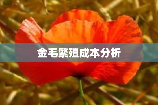 金毛繁殖成本分析