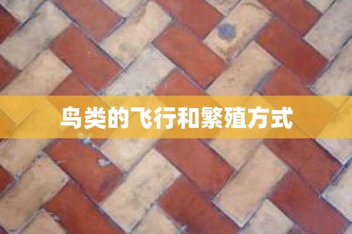 鸟类的飞行和繁殖方式