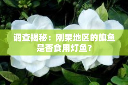 调查揭秘：刚果地区的旗鱼是否食用灯鱼？