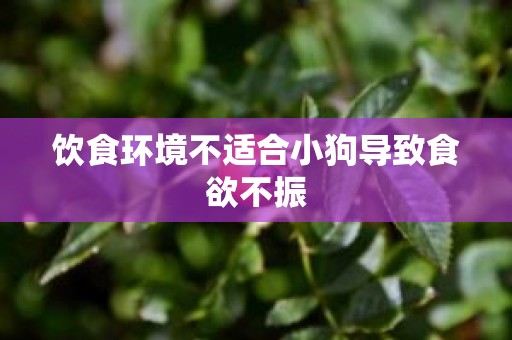 饮食环境不适合小狗导致食欲不振