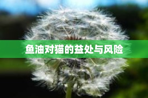 鱼油对猫的益处与风险