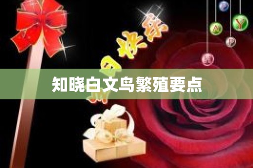 知晓白文鸟繁殖要点