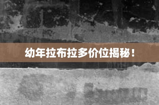 幼年拉布拉多价位揭秘！