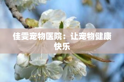 佳雯宠物医院：让宠物健康快乐