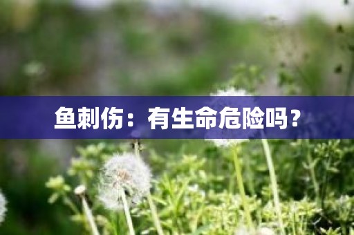 鱼刺伤：有生命危险吗？