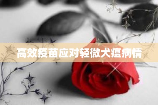 高效疫苗应对轻微犬瘟病情
