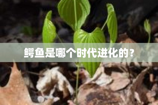 鳄鱼是哪个时代进化的？