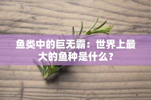 鱼类中的巨无霸：世界上最大的鱼种是什么？