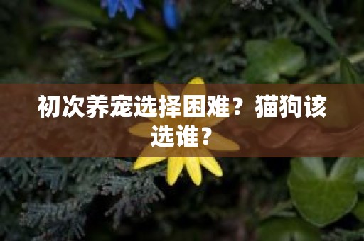 初次养宠选择困难？猫狗该选谁？