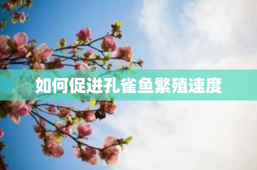 如何促进孔雀鱼繁殖速度