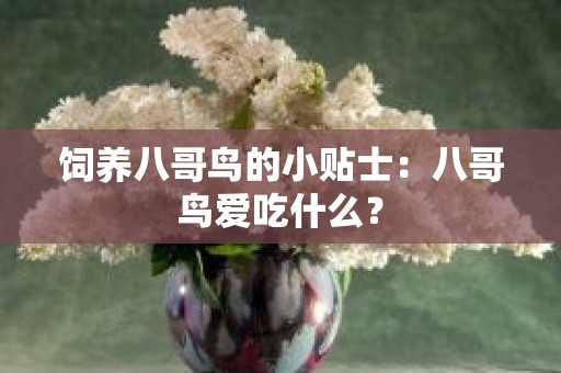 饲养八哥鸟的小贴士：八哥鸟爱吃什么？