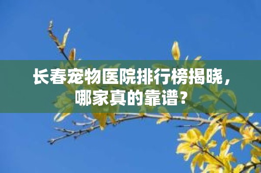 长春宠物医院排行榜揭晓，哪家真的靠谱？