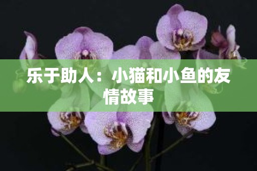 乐于助人：小猫和小鱼的友情故事
