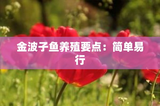 金波子鱼养殖要点：简单易行