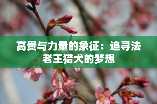 高贵与力量的象征：追寻法老王猎犬的梦想