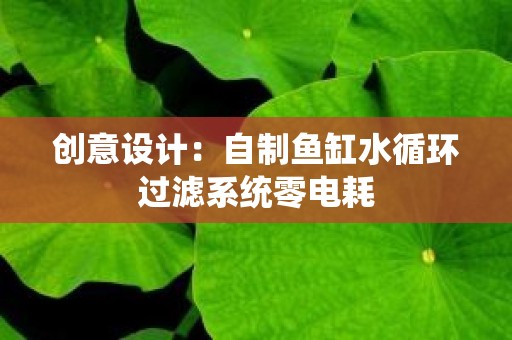 创意设计：自制鱼缸水循环过滤系统零电耗
