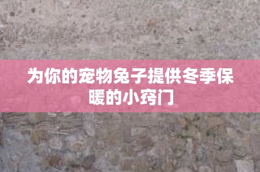 为你的宠物兔子提供冬季保暖的小窍门