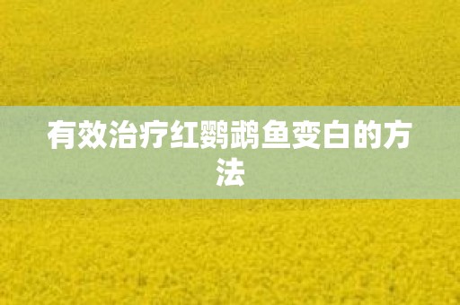 有效治疗红鹦鹉鱼变白的方法