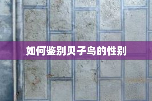 如何鉴别贝子鸟的性别