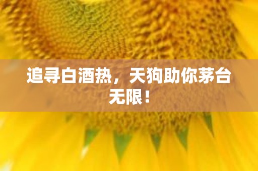 追寻白酒热，天狗助你茅台无限！