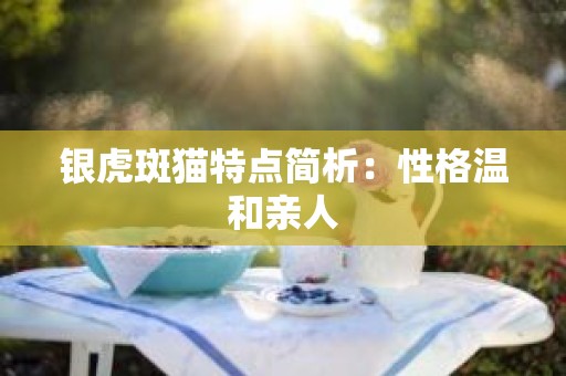银虎斑猫特点简析：性格温和亲人