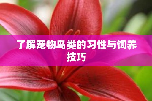 了解宠物鸟类的习性与饲养技巧