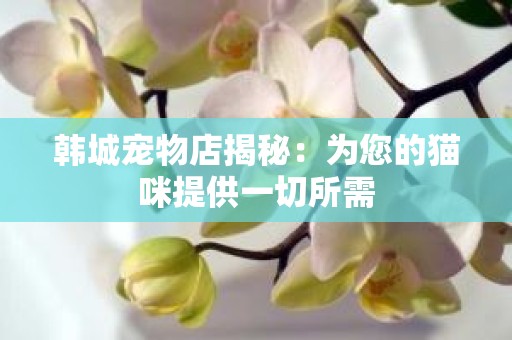韩城宠物店揭秘：为您的猫咪提供一切所需