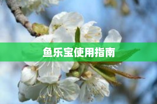 鱼乐宝使用指南