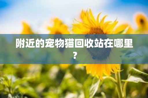 附近的宠物猫回收站在哪里？