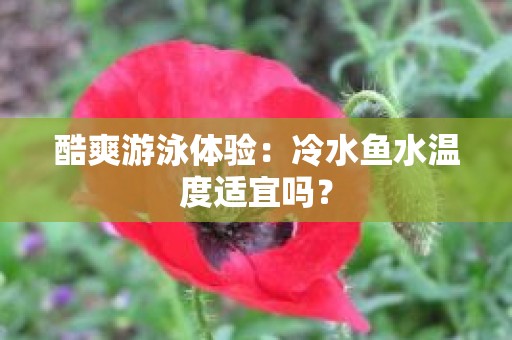 酷爽游泳体验：冷水鱼水温度适宜吗？