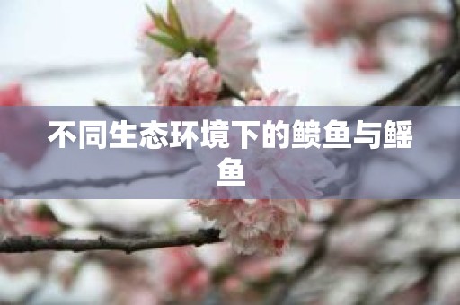 不同生态环境下的鲼鱼与鳐鱼