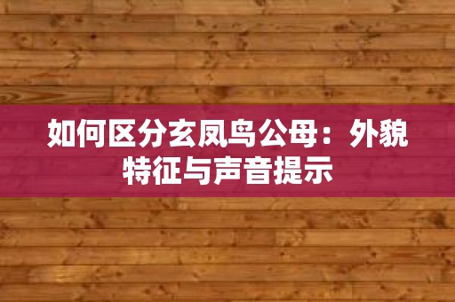 如何区分玄凤鸟公母：外貌特征与声音提示
