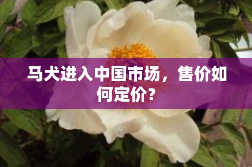 马犬进入中国市场，售价如何定价？