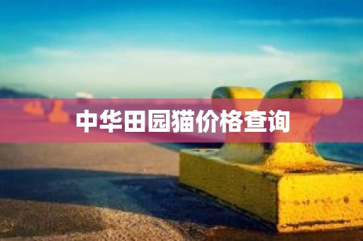 中华田园猫价格查询
