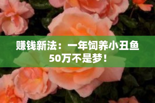 赚钱新法：一年饲养小丑鱼50万不是梦！
