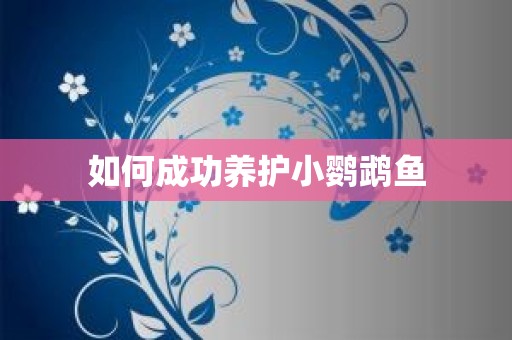 如何成功养护小鹦鹉鱼